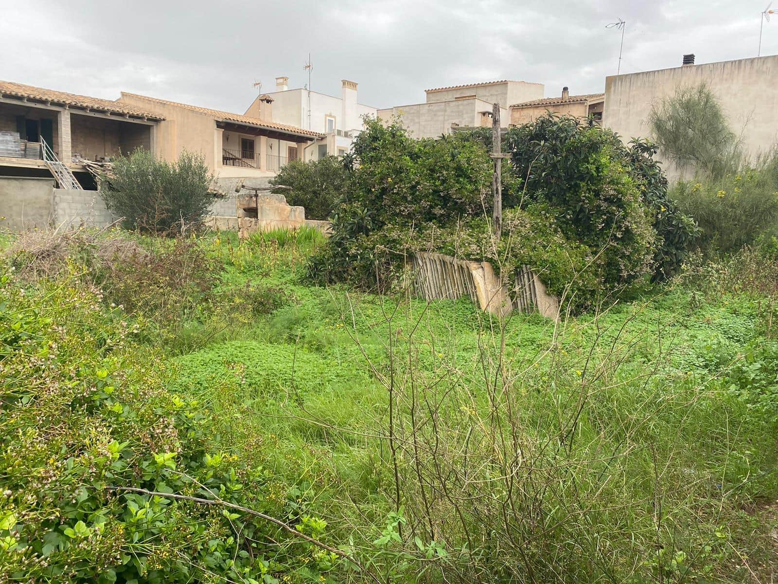 Solar en venta en Porreres - Foto 4