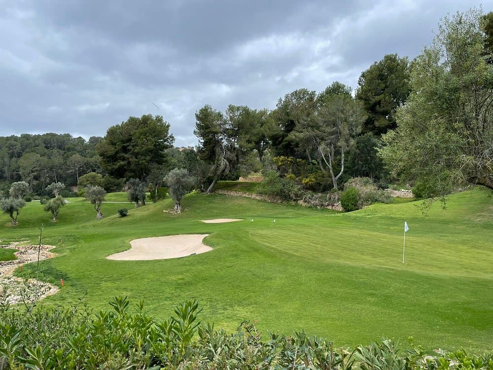 Real Golf de Bendinat, campo de golf entre pinos (Calvià)