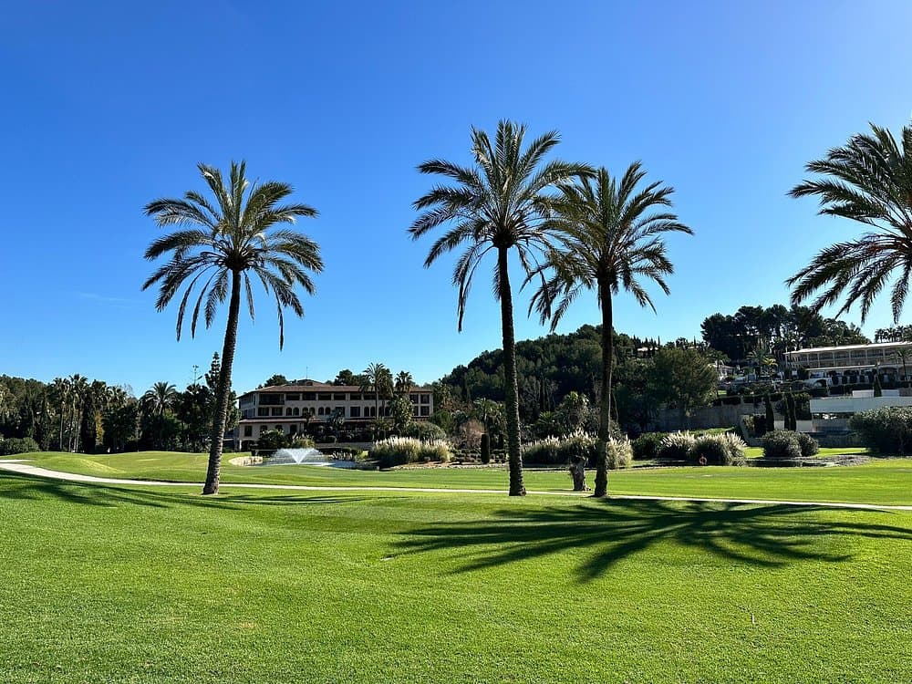 Golf Son Vida, campo de golf con palmeras y la casa club al fondo (Palma)